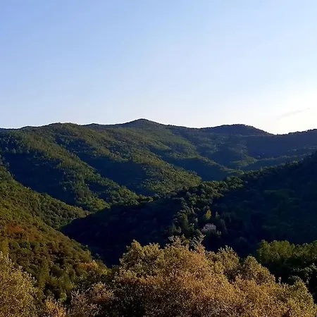Magnifique Au Coeur Des Cevennes Saint-Privat-de-Vallongue