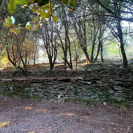 Vila Magnifique Au Coeur Des Cevennes Saint-Privat-de-Vallongue