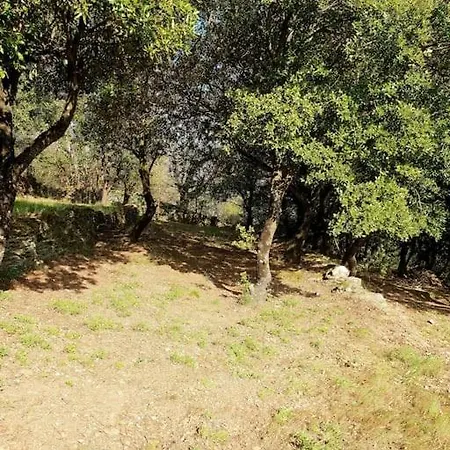 Magnifique Au Coeur Des Cevennes Vila