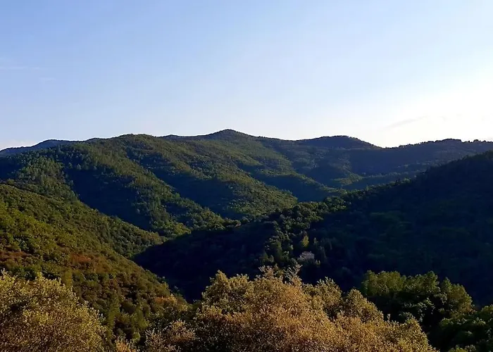Magnifique Au Coeur Des Cevennes Saint-Privat-de-Vallongue