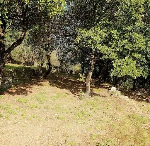 Magnifique Au Coeur Des Cevennes Βίλα